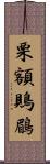 栗額鵙鶥 Scroll