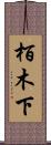 栢木下 Scroll