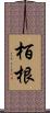 栢根 Scroll