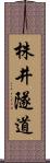 株井隧道 Scroll