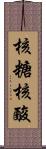 核糖核酸 Scroll