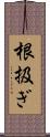 根扱ぎ Scroll