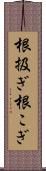 根扱ぎ Scroll
