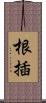 根插 Scroll