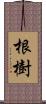 根樹 Scroll