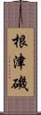 根津磯 Scroll