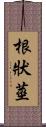 根狀莖 Scroll