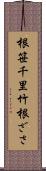 根笹 Scroll