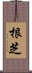 根芝 Scroll