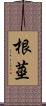 根莖 Scroll
