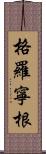 格羅寧根 Scroll