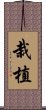 栽植 Scroll