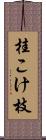桂こけ枝 Scroll