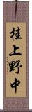 桂上野中 Scroll
