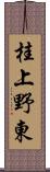 桂上野東 Scroll