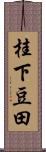 桂下豆田 Scroll