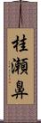 桂瀬鼻 Scroll