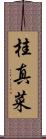 桂真菜 Scroll