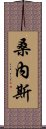 桑內斯 Scroll