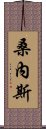 桑內斯 Scroll