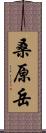 桑原岳 Scroll