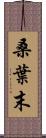 桑葉末 Scroll