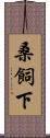 桑飼下 Scroll