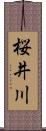 桜井川 Scroll