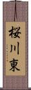 桜川東 Scroll