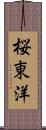 桜東洋 Scroll
