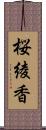 桜綾香 Scroll