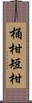 桶柑 Scroll