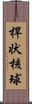 桿状核球 Scroll