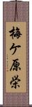 梅ケ原栄 Scroll