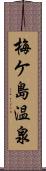 梅ケ島温泉 Scroll