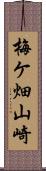 梅ケ畑山崎 Scroll