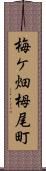 梅ケ畑栂尾町 Scroll