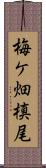梅ケ畑槙尾 Scroll