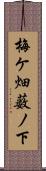 梅ケ畑薮ノ下 Scroll