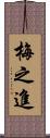 梅之進 Scroll
