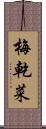 梅乾菜 Scroll