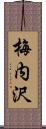 梅内沢 Scroll