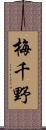 梅千野 Scroll