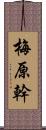 梅原幹 Scroll