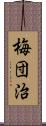 梅団治 Scroll