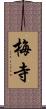 梅寺 Scroll