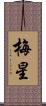 梅星 Scroll