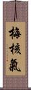 梅核氣 Scroll