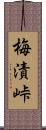 梅漬峠 Scroll