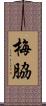 梅脇 Scroll